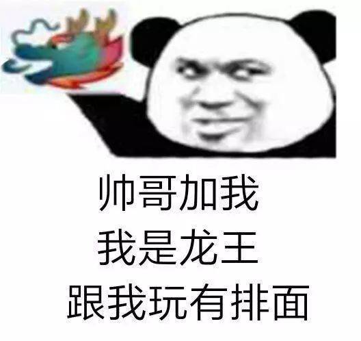 帅哥加我，我是龙王跟我玩有排面