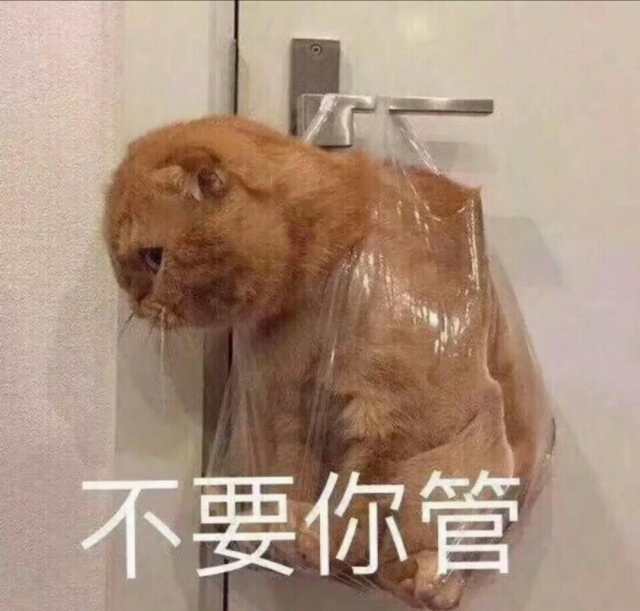 不要你管