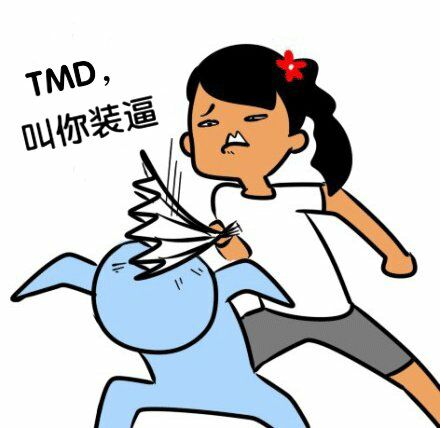 TMD傻逼