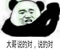 大哥说的对，说的对