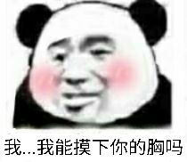 我.我能摸下你的胸吗