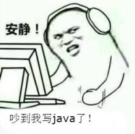 安静！吵到我写java了！（编程）