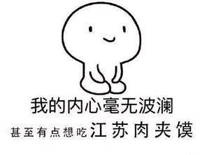 我的内心毫无波澜，甚至有点想吃江苏肉夹馍