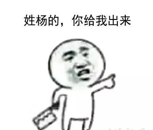 姓杨的，你给我出来