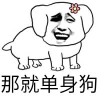 那就单身狗