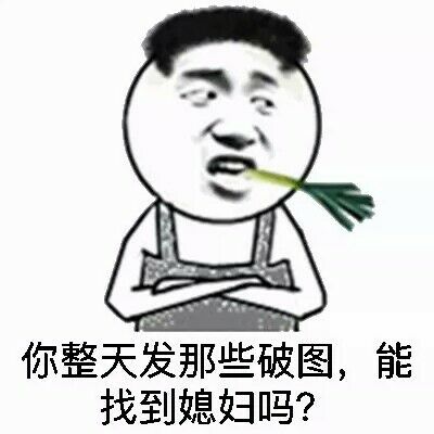 你整天发那些破图，能找到媳妇吗？