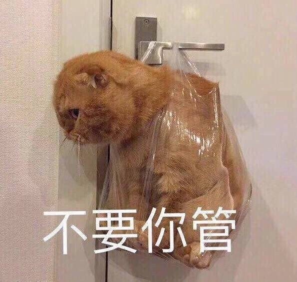 不要你管