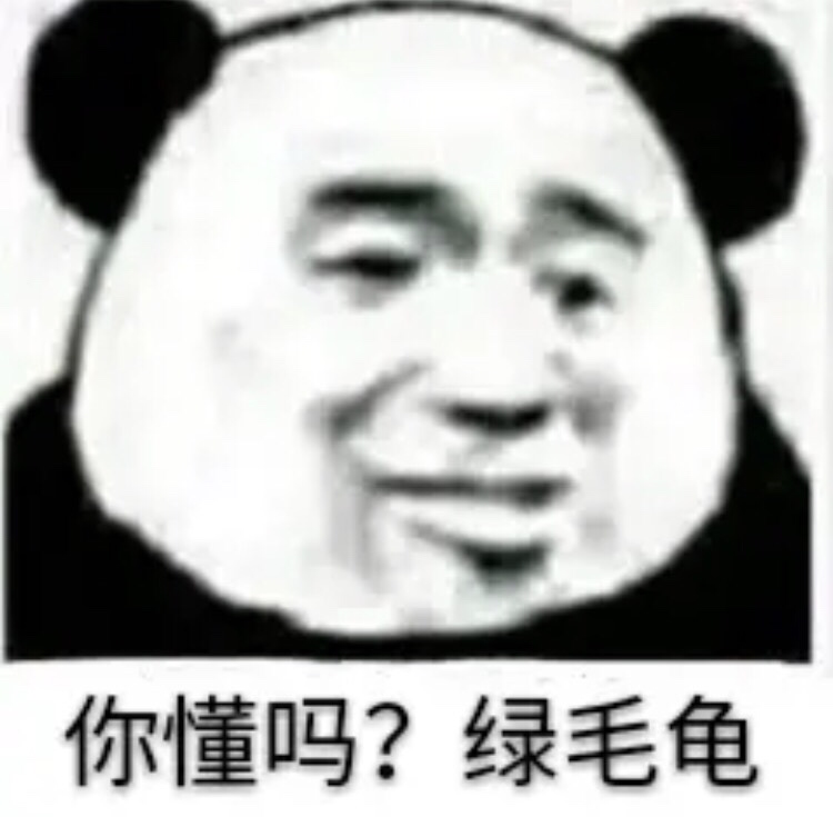 你懂吗？绿毛龟