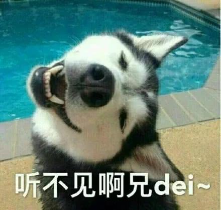 听不见啊兄dei~