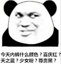 今天内裤什么颜色？喜庆红天之蓝？少女粉？尊贵黑？