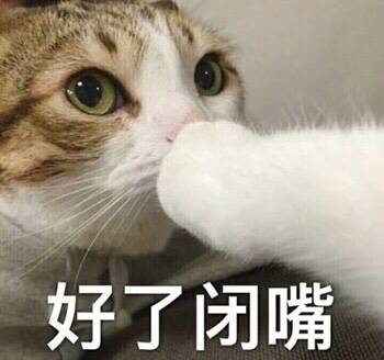 好了闭嘴