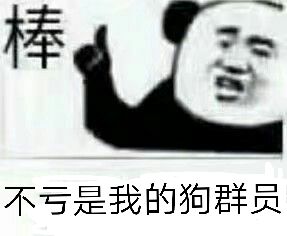 棒，不亏是我的狗群员