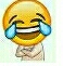 emoji笑哭了