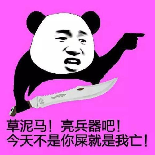 草泥马！亮兵器吧！今天不是你屎就是我亡！