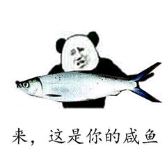 来，这是你的威鱼