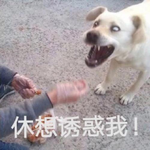 休想诱惑我