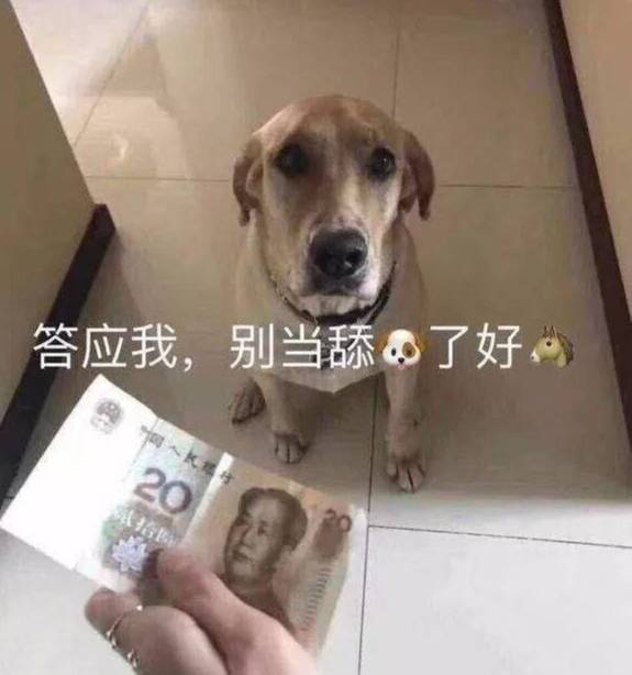 答应我，别当舔狗了好吗？