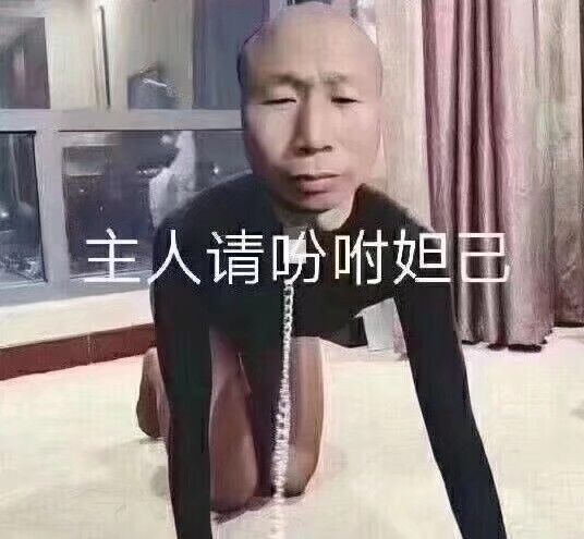 主人请吩咐妲己