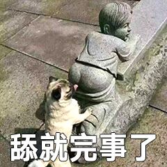 舔就完事了