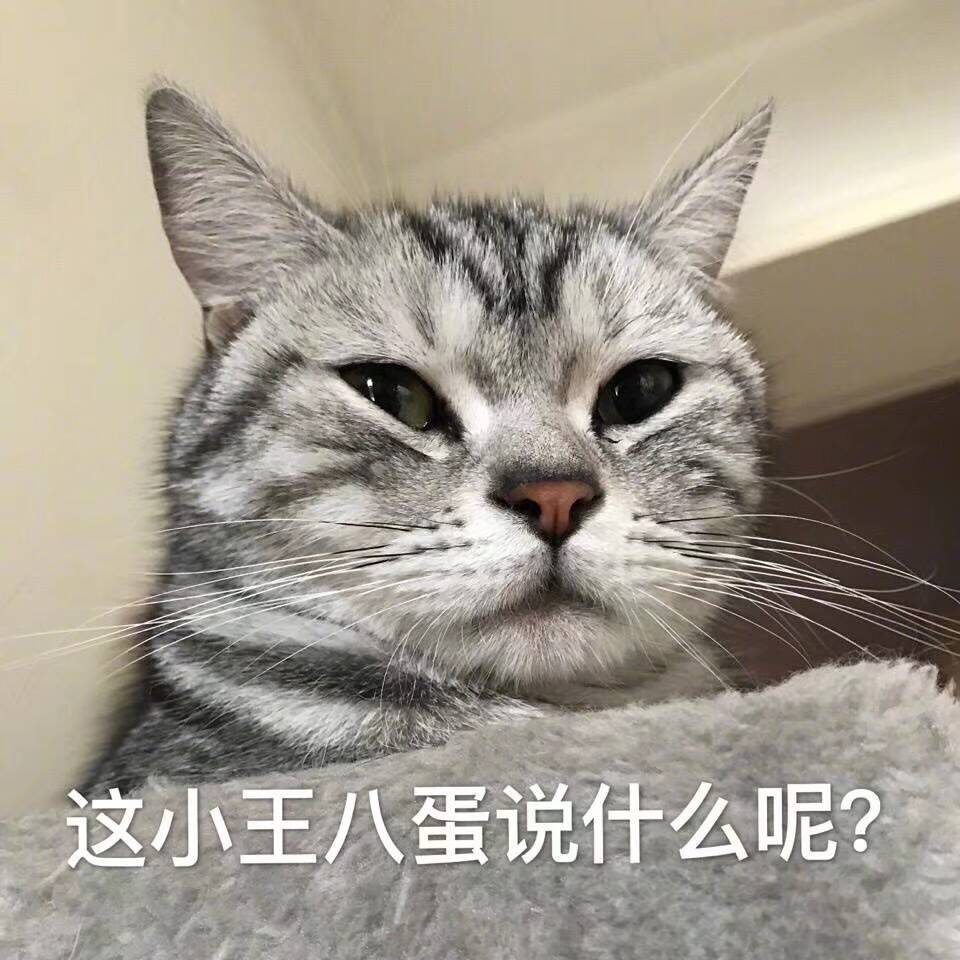 这小壬八蛋说什么呢？