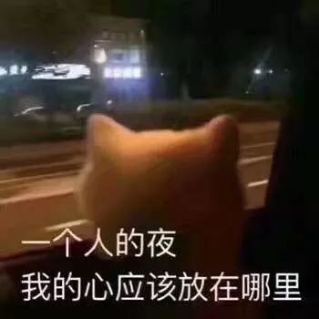 一个人的夜晚，我的心应该放在哪里