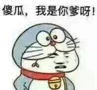 傻瓜，我是你爹呀！