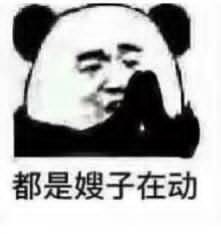 都是嫂子在动