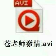 苍老师激情.avi（播放器图标）