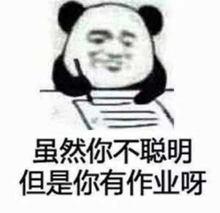 虽然你不聪明，但是你有作业呀