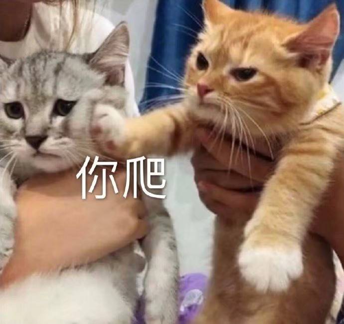 你爬