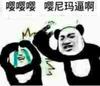 嘤嘤嘤嘤尼玛逼啊