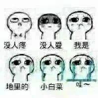 没人疼