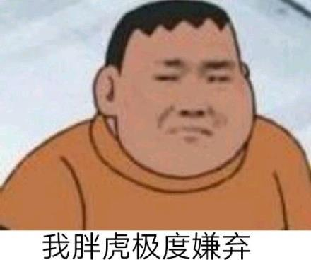 我胖虎极度嫌弃