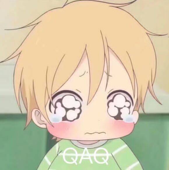 QAQ（哭了）