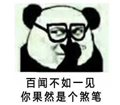 百闻不如一见，你果然是个煞笔