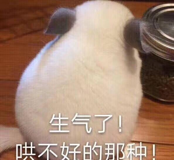 生气了