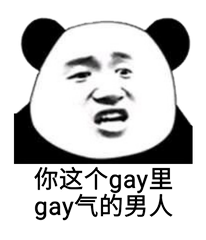 你这个gay里gay气的男人