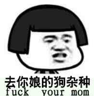 去你娘的狗杂种 fuck your mom