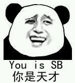 你是天才（you is SB）