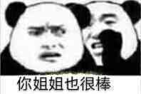 你姐姐也很棒