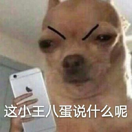 这小王八蛋说什么呢