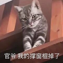 官爷，我的撑窗棍掉了