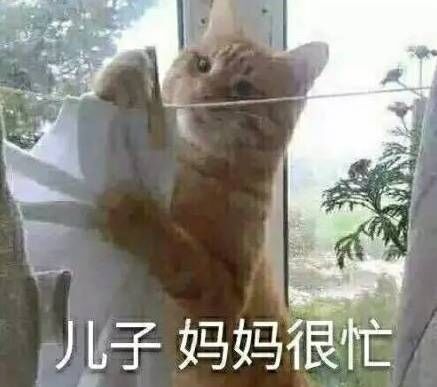 儿子妈妈很忙