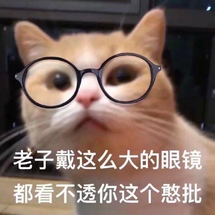 老子戴这么大的眼镜，都看不透你这个憨批