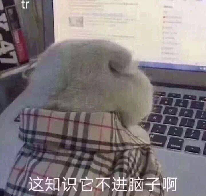 这知识它不进脑子啊