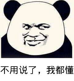 不用说了，我都懂