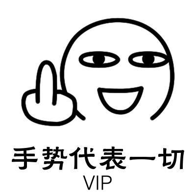 手势代表一切（VIP）