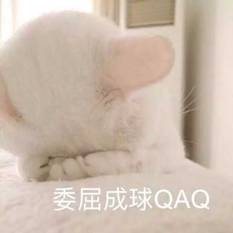 委屈成球QAQ