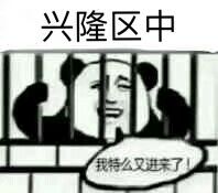 兴隆区中，我特么又进来了