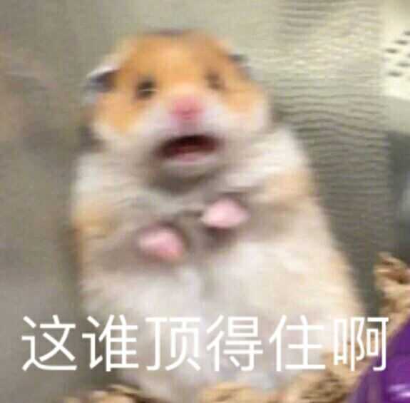 这谁顶得住啊